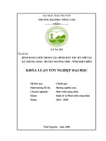 Bình đẳng giới trong gia đình dân tộc hà nhì tại xã chung chải, huyện mường nhé, tỉnh điện biên 