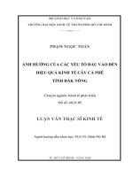 Ảnh hưởng của các yếu tố đầu vào đến hiệu quả kinh tế cây cà phê tỉnh đắc nông 