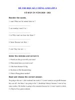 Đề thi học kì 2 lớp 4 môn tiếng Anh năm 2020 - 2021