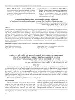 Phân lập và khảo sát khả năng đối kháng của Trichoderma sp. lên sự sinh trưởng và phát triển của một số vi nấm gây bệnh trên quả dâu tây trong điều kiện in vitro