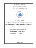 Nghiên cứu ảnh hưởng của điều kiện bao màng đến hoạt chất sinh học và khả năng chống oxy hóa của dịch chiết từ vỏ quả ca cao  