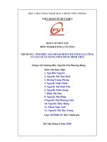 Tìm hiểu về chiến lược marketing của sản phẩm bitis hunter tại công ty sản xuất hàng tiêu dùng bình tiên