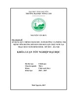 Áp dụng quy trình chăm sóc nuôi dưỡng và phòng trị bệnh viêm đường hô hấp cho đàn lợn thịt nuôi tại trại chăn nuôi bình minh mỹ đức hà nội 
