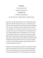 Lịch sử văn minh Ấn Độ - Chương IX (B)