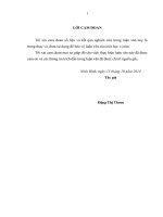 Thực trạng và giải pháp đẩy mạnh tiến trình xây dựng nông thôn mới trên địa bàn huyện hoa lư, tỉnh ninh bình 