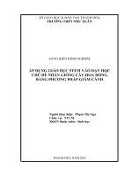 Áp dụng giáo dục STEM vào dạy học chủ đề nhân giống cây hoa hồng bằng phương pháp giâm cành 