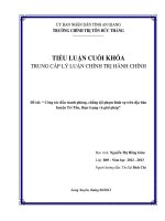 tiểu luận trung cấp chính trị hành chính Công tác đấu tranh phòng, chống tội phạm hình sự trên địa bàn huyện Tri Tôn, thực trạng và giải pháp