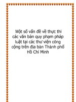 Một số vấn đề về thực thi các văn bản quy phạm pháp luật tại các thư viện công cộng trên địa bàn Thành phố Hồ Chí Minh