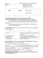 De Kiem tra cuoi ky 2Lich su lop 45