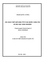 Tóm tắt Luận án Tiến sĩ Kinh tế Quốc tế: Cải cách thể chế kinh tế ở các nước châu Phi và bài học kinh nghiệm