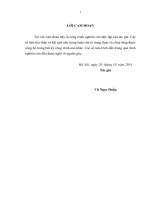 Giải pháp nâng cao chất lượng hoạt động của chính quyền cơ sở trên địa bàn huyện hoa lư, tỉnh ninh bình 