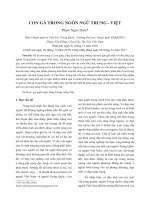 Con gà trong ngôn ngữ Trung - Việt