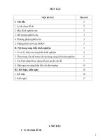 Một số biện pháp quản lý của hiệu trưởng về nâng cao chất lượng giáo dục trẻ phát triển toàn diện ở trường trường mầm non hà tân 