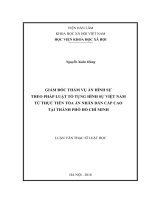 Giám đốc thẩm vụ án hình sự theo pháp luật tố tụng hình sự việt nam từ thực tiễn xét xử của TAND cấp cao tại thành phố hồ chí minh 