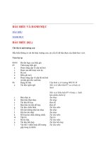 ĐẦU BIỂU VÀ DANH MỤC