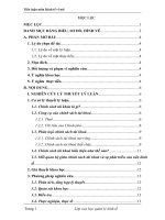 Tiểu luận Kinh tế vĩ mô Chính sách tài khóa và tình hình thực hiện chính sách tài khóa ở Việt Nam hiện nay