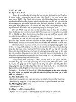 PHÁT HUY NĂNG lực tự học môn TOÁN CHO học SINH THÔNG QUA NGHIÊN cứu GIẢI bài TOÁN tìm GIÁ TRỊ lớn NHẤT, NHỎ NHẤT của BIỂU THỨC 