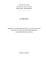 Nghiên cứu sự phân bố, số lượng và tần suất gặp loài vọoc chà vá chân nâu (pygathrix nemaeus) tại bán đảo sơn trà, đà nẵng  