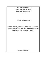 Nghiên cứu thực trạng sản xuất rau an toàn ở xã tam an, huyện phú ninh, tỉnh quảng nam và đề xuất giải pháp phát triển  