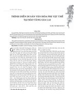 Trình diễn di sản văn hóa phi vật thể tại bảo tàng Gia Lai