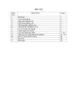 Kinh nghiệm dạy học môn lịch sử theo định hướng phát triển phẩm chất, năng lực học sinh ở trường THPT cẩm thủy 2 