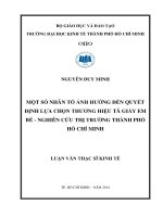 Luận văn kinh tế Một Số Nhân Tố Ảnh Hưởng Đến Quyết Định Lựa Chọn Thương Hiệu