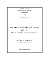 Đặc điểm ngôn ngữ báo mạng điện tử (khảo sát qua các báo vietnamnet và vnexpress)  