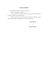 Tổ chức công tác kế toán trong điều kiện ứng dụng công nghệ thông tin tại các doanh nghiệp kinh doanh xuất nhập khẩu việt nam 