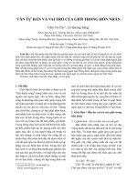 Văn tự Hán và vai trò của giới trong hôn nhân