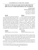 Một số vấn đề đặt ra khi áp dụng biện pháp kê biên tài sản và biện pháp phong tỏa tài khoản