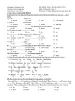 dde kiem tra lop 6 hoc ky II