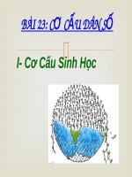 Slide thuyết trình Địa Lí 10 Bài 23: Cơ cấu dân số