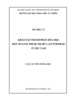 Luận án tiến sĩ khảo sát thành phần hóa học một số loài thuộc họ bứa (guttiferae) ở việt nam 