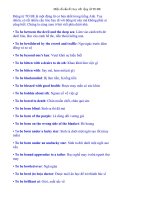 Mot so cau truc hay cua To Be