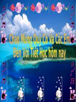 giao an lop 8tiet 28