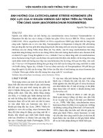 Ảnh hưởng của Catecholamine stress hormones lên độc lực của vi khuẩn vibrios gây bệnh trên ấu trùng tôm càng xanh (Macrobrachium rosenbergii)