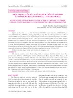 Hiện trạng nuôi bè tại vùng biển thôn Tân Thành, xã Ninh Ích, huyện Ninh Hòa, tỉnh Khánh Hòa