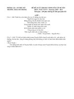 DeDA thi HSGVan 9 My PhongPhu My 1011