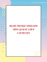 Bộ đề thi học sinh giỏi môn Lịch sử lớp 8 cấp huyện