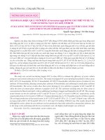 Đánh giá hiệu quả nuôi hàu (Crassostrea spp) bằng giá thể vỏ xe và tấm xi măng tại Cần Giờ, Tp.HCM