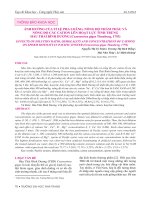Ảnh hưởng của tỉ lệ pha loãng, nồng độ thẩm thấu và nồng độ các cation lên hoạt lực tinh trùng hàu Thái Bình Dương (Crassostrea gigas Thunberg, 1793)