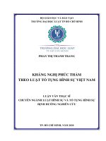 Kháng nghị phúc thẩm theo luật tố tụng hình sự việt nam 