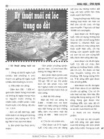 Kỹ thuật nuôi cá lóc trong ao đất (2tr)