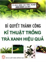 Bbook Bí quyết thành công – Kỹ thuật trồng chè xanh hiệu quả: Phần 1