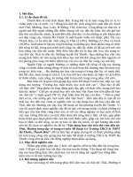 Vận dụng hoa văn trên thổ cẩm dân tộc thái, mường trong dạy vẽ trang trí môn mĩ thuật 6 ở trường THCS  THPT bá thước, thanh hóa 