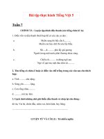 Bài tập thực hành Tiếng Việt 5 – Tuần 7