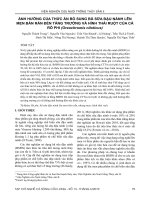 Ảnh hưởng của thức ăn bổ sung bã sữa đậu nành lên men bán rắn đến tăng trưởng và hình thái ruột của cá rô phi (Oreochromis niloticus)