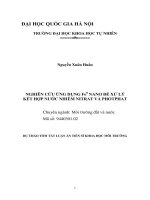 Dự thảo tóm tắt Luận án Tiến sĩ Khoa học môi trường: Nghiên cứu ứng dụng Fe0 nano để xử lý kết hợp nước nhiễm nitrat và photphat