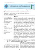 Những thành tựu trong nghiên cứu chuyển giới tính tôm càng xanh