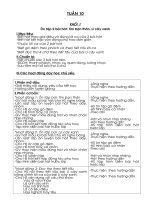 KE HOACH BAI DAY WORD tuan 10